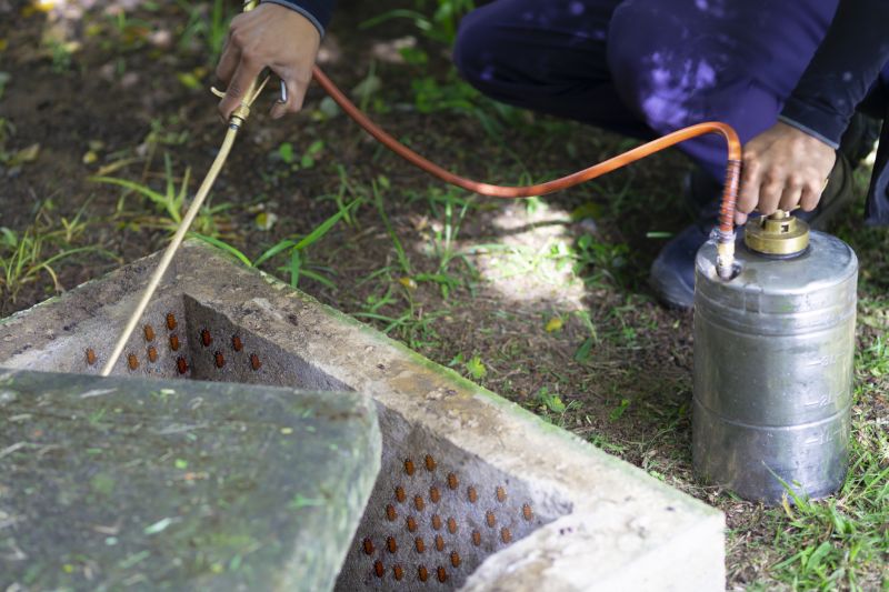 Roach Fumigation in Marietta, GA