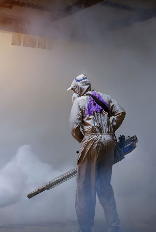 Roach Fumigation in Franklin, TN