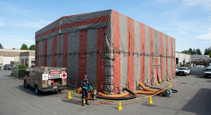 Commercial Fumigation in Fort Collins, CO