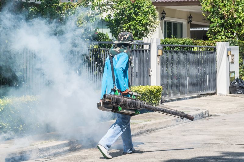Rat Fumigation Service in Tampa, FL