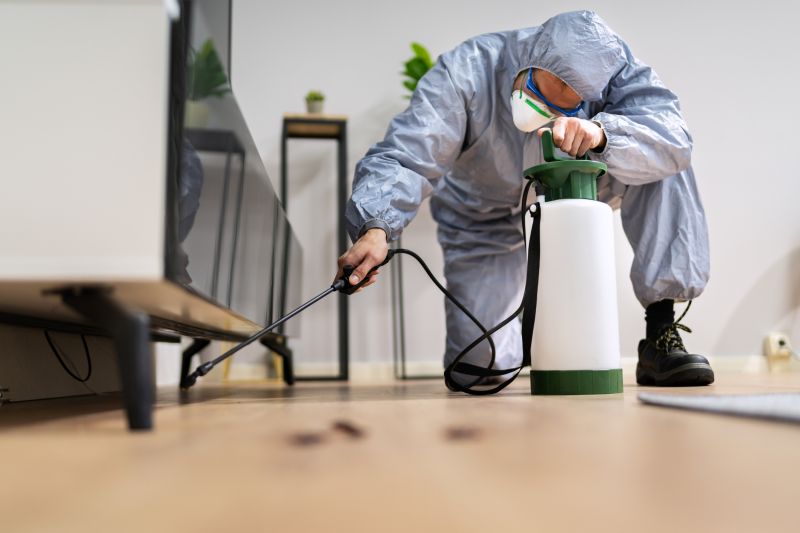 Rat Fumigation Service in Naperville, IL