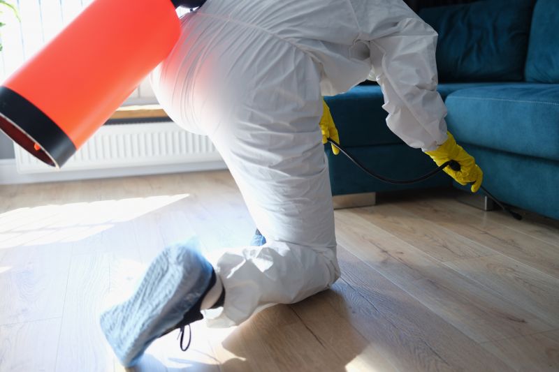 Rat Fumigation Service in Ann Arbor, MI